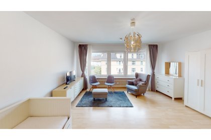 1452807-MCsN3o1DHHGknsC1ZxjNyv7p-Mobliertes-1-Zimmer-Apartment-in-Neuhausen-Living-Room(1).jpg